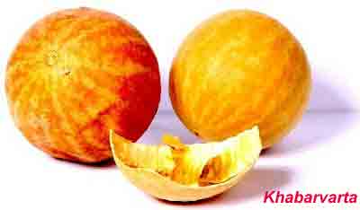 इन्द्रायण (Colocynth)